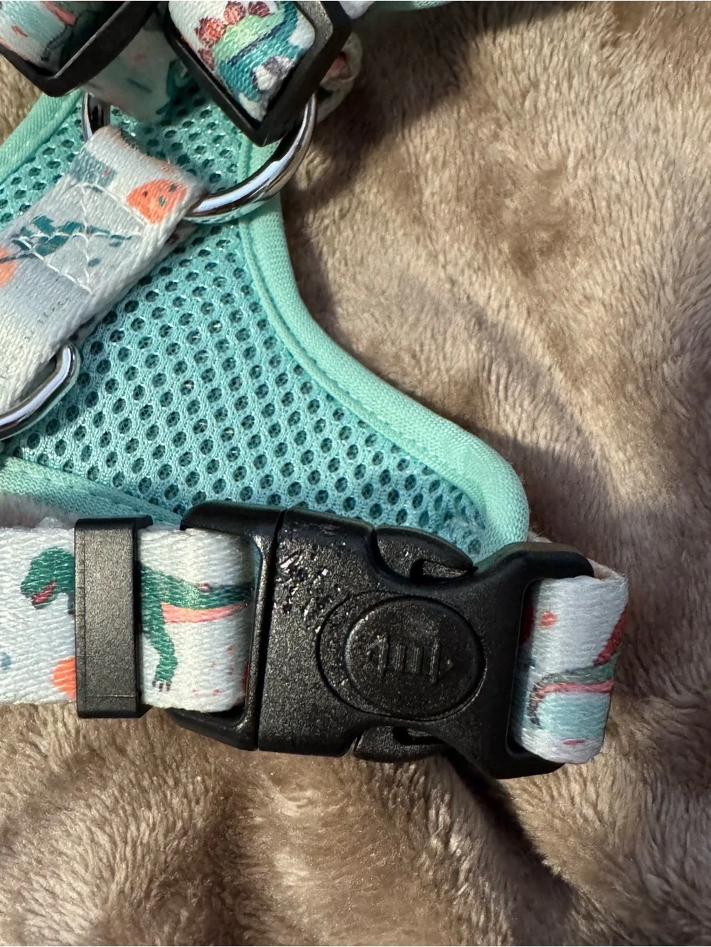 Mint Dinosaur Dog Harness - Cute Printed Pet Harness